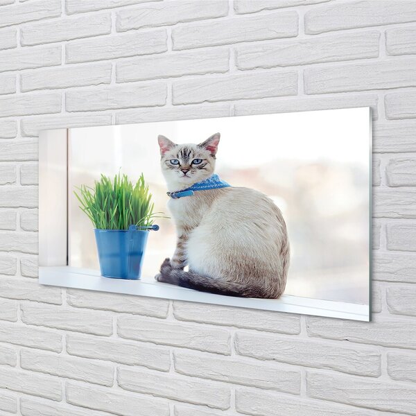 Quadro di vetro Gatto seduto 100x50 cm 2 appendini