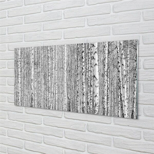 Quadro in vetro Foresta di alberi in bianco e nero 100x50 cm 2 appendini