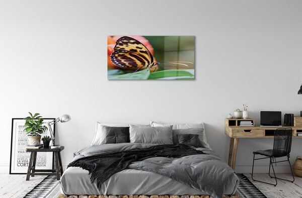 Quadro in vetro Farfalla 100x50 cm 2 appendini