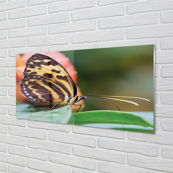 Quadro in vetro Farfalla 100x50 cm 2 appendini