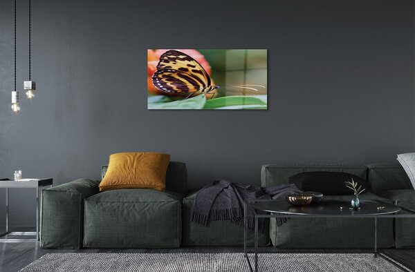 Quadro in vetro Farfalla 100x50 cm 2 appendini
