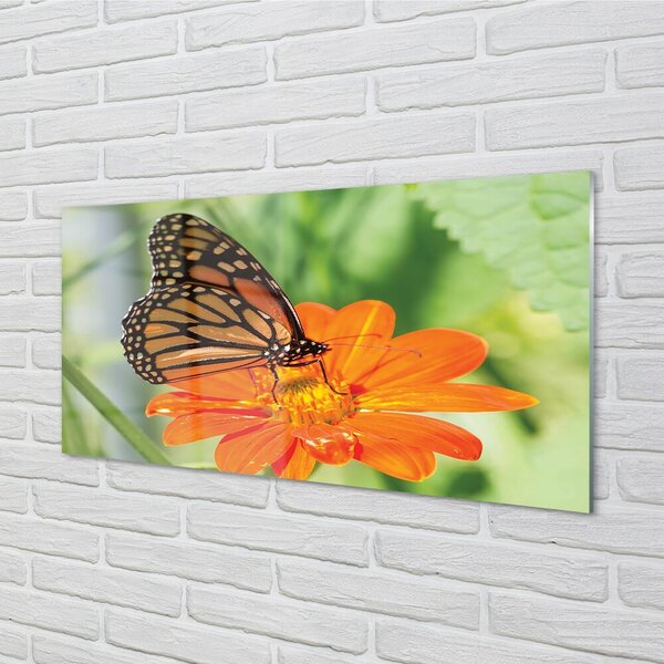 Quadro vetro Fiore di farfalla colorato 100x50 cm 2 appendini