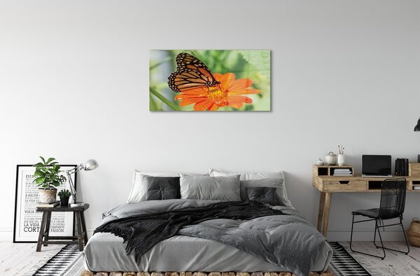 Quadro vetro Fiore di farfalla colorato 100x50 cm 2 appendini