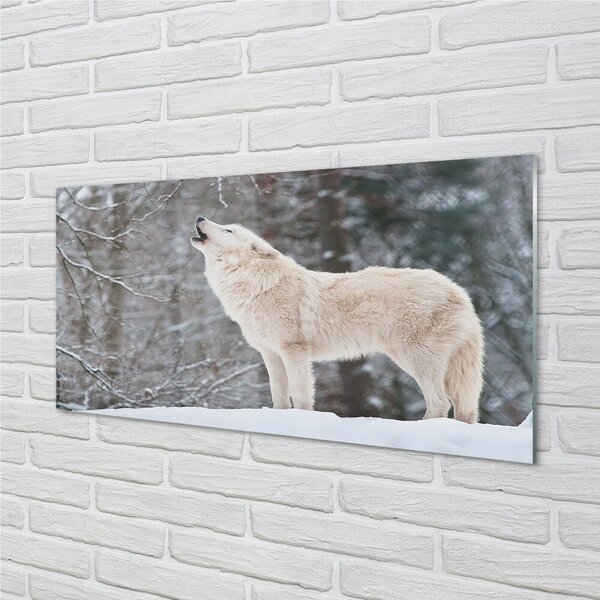 Quadro in vetro Inverno nella foresta del lupo 100x50 cm 2 appendini
