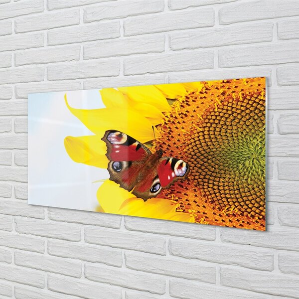 Quadro vetro Farfalla girasole 100x50 cm 2 appendini