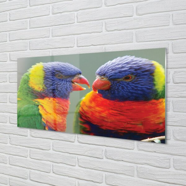 Quadro in vetro Pappagalli colorati 100x50 cm 2 appendini