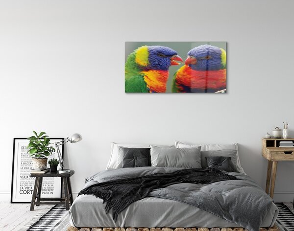 Quadro in vetro Pappagalli colorati 100x50 cm 2 appendini