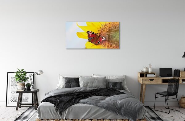 Quadro vetro Farfalla girasole 100x50 cm 2 appendini