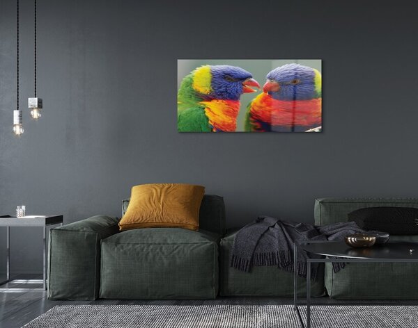 Quadro in vetro Pappagalli colorati 100x50 cm 2 appendini