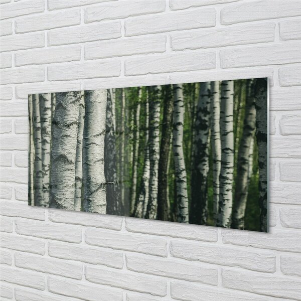 Quadro su vetro Bosco di betulle 100x50 cm 2 appendini