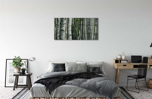 Quadro su vetro Bosco di betulle 100x50 cm 2 appendini