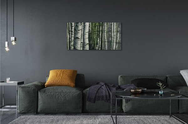 Quadro su vetro Bosco di betulle 100x50 cm 2 appendini