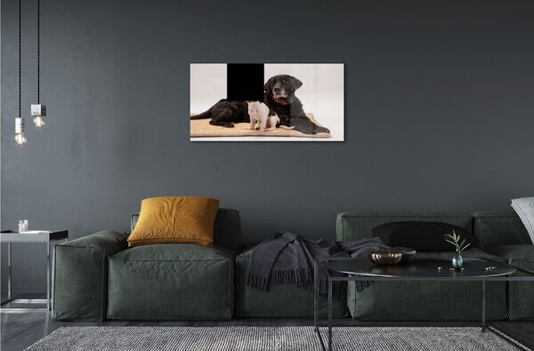 Quadro su vetro Cani bugiardi 100x50 cm 2 appendini