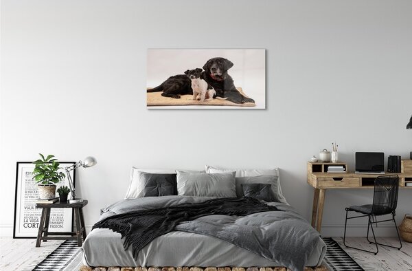 Quadro su vetro Cani bugiardi 100x50 cm 2 appendini