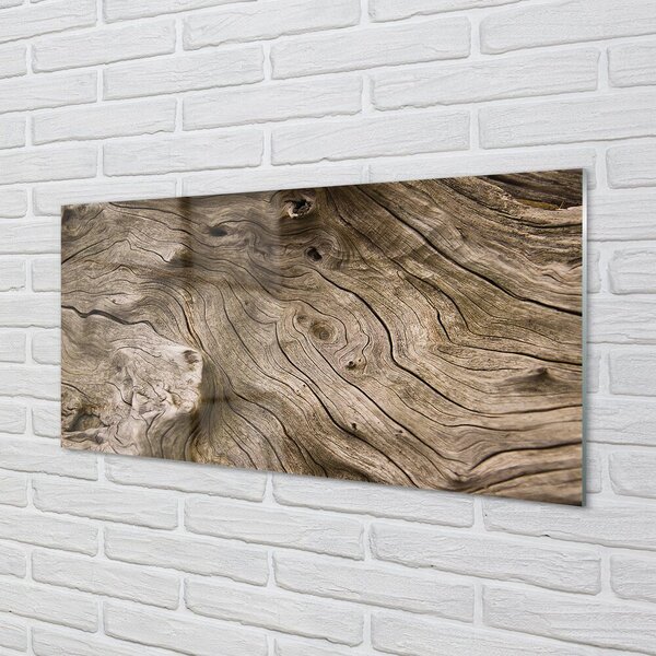 Quadro vetro Anelli di legno nodi 100x50 cm 2 appendini