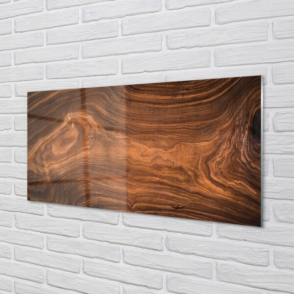 Quadro vetro Anelli di legno nodi 100x50 cm 2 appendini