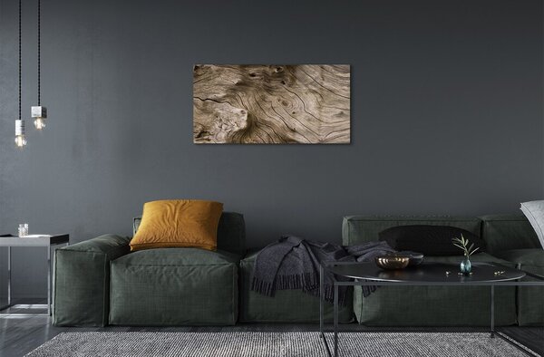 Quadro vetro Anelli di legno nodi 100x50 cm 2 appendini