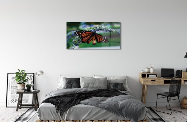 Quadro vetro Farfalla su un fiore 100x50 cm 2 appendini