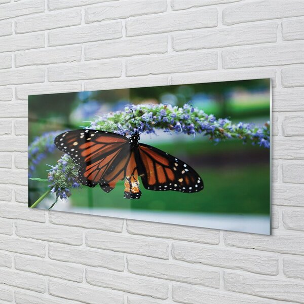 Quadro vetro Farfalla su un fiore 100x50 cm 2 appendini