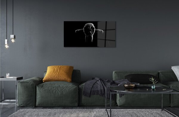 Quadro vetro Femmina bianca e nera 100x50 cm 2 appendini