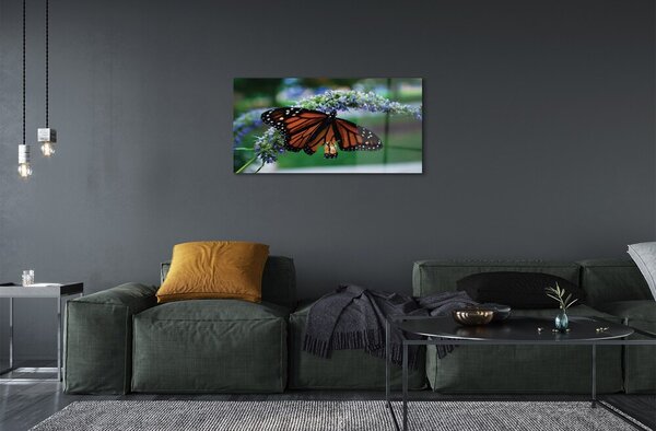 Quadro vetro Farfalla su un fiore 100x50 cm 2 appendini