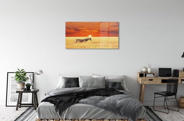 Quadro vetro Campo zebrato al tramonto 100x50 cm 2 appendini