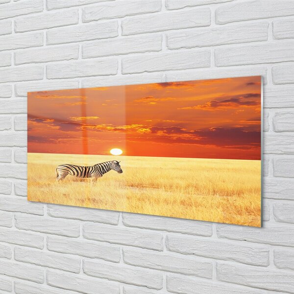 Quadro vetro Campo zebrato al tramonto 100x50 cm 2 appendini