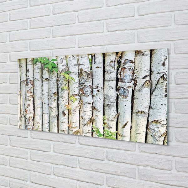 Quadro in vetro Foglie di betulla 100x50 cm 2 appendini