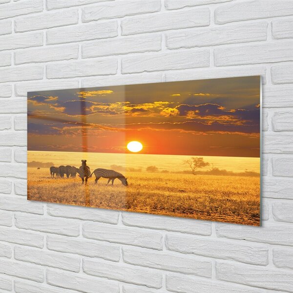 Quadro su vetro Nuvola occidentale zebra 100x50 cm 2 appendini