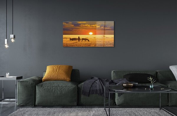 Quadro su vetro Nuvola occidentale zebra 100x50 cm 2 appendini