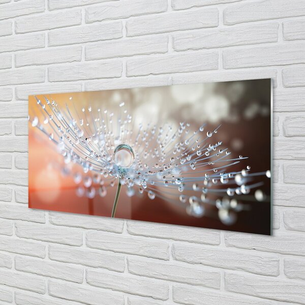 Quadro su vetro Macro gocce di mosconi 100x50 cm 2 appendini