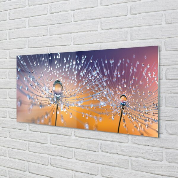 Quadro in vetro Macro gocce di mosconi 100x50 cm 2 appendini