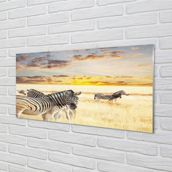 Quadro su vetro Campo zebrato al tramonto 100x50 cm 2 appendini