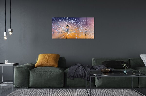 Quadro in vetro Macro gocce di mosconi 100x50 cm 2 appendini