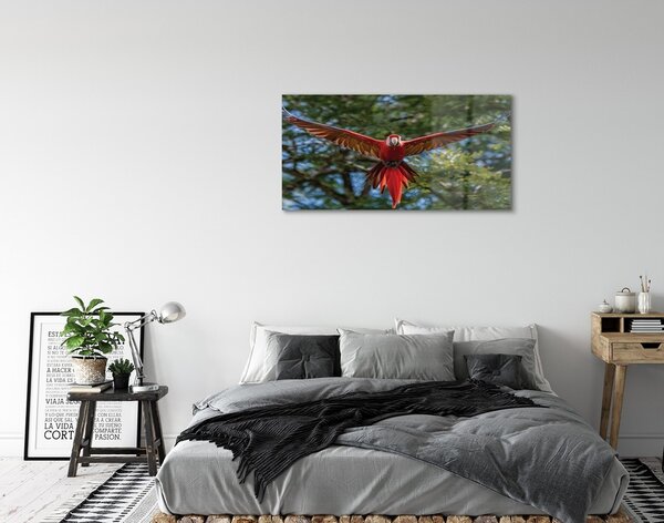 Quadro vetro Pappagallo ara 100x50 cm 2 appendini