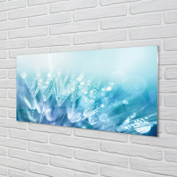 Quadro su vetro Gocce di dente di leone astratto 100x50 cm 2 appendini