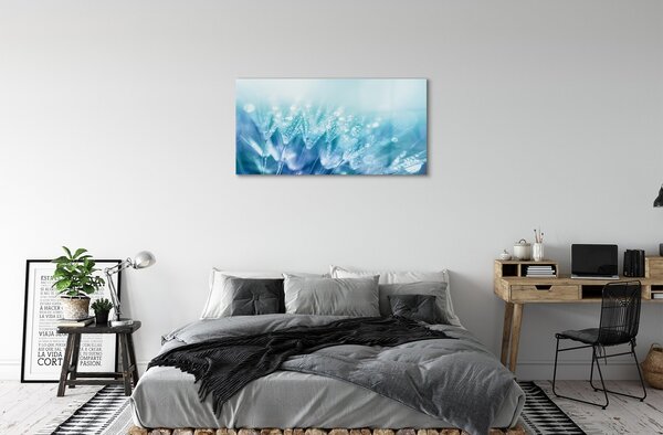 Quadro su vetro Gocce di dente di leone astratto 100x50 cm 2 appendini