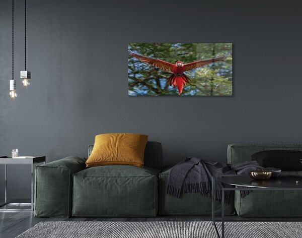 Quadro vetro Pappagallo ara 100x50 cm 2 appendini