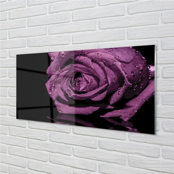 Quadro in vetro Rosa viola 100x50 cm 2 appendini