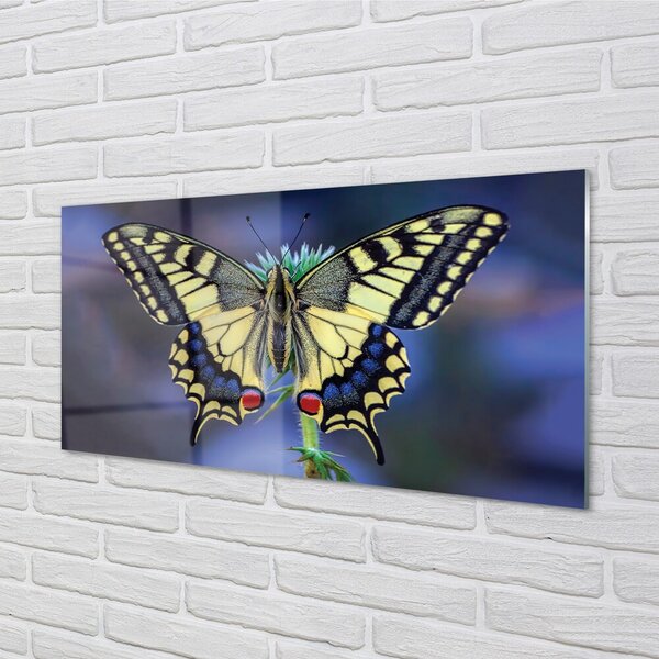 Quadro in vetro Farfalla su un fiore 100x50 cm 2 appendini