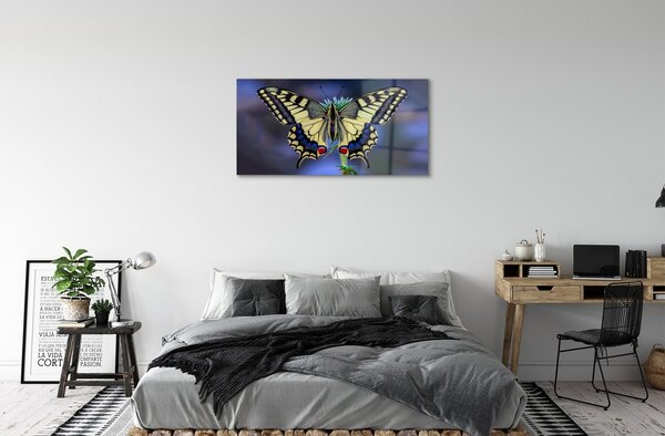 Quadro in vetro Farfalla su un fiore 100x50 cm 2 appendini