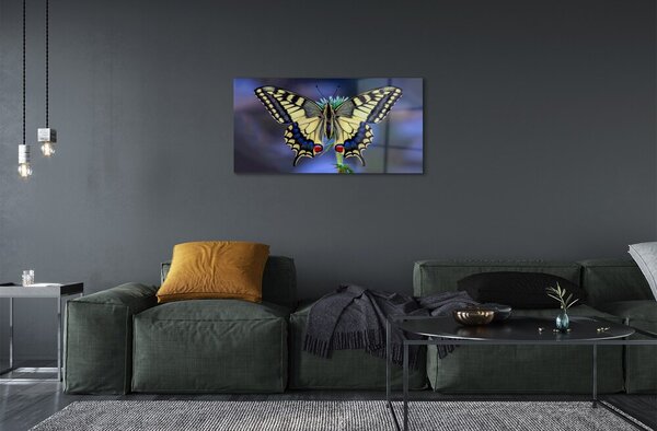 Quadro in vetro Farfalla su un fiore 100x50 cm 2 appendini