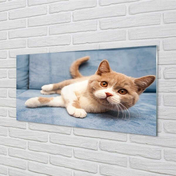 Quadro vetro Gatto bugiardo 100x50 cm 2 appendini