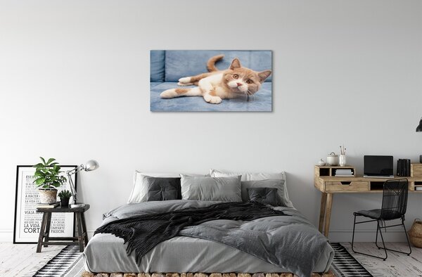 Quadro vetro Gatto bugiardo 100x50 cm 2 appendini