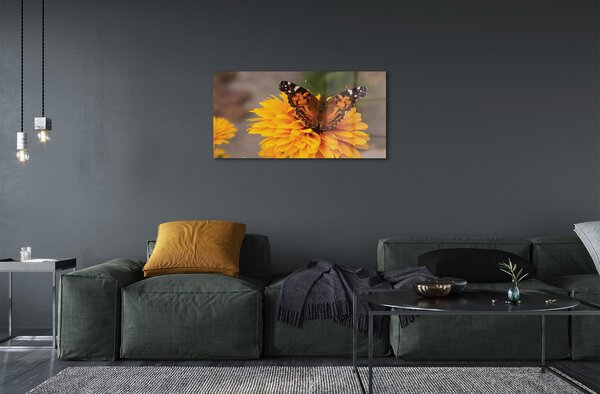 Quadro in vetro Fiore di farfalla colorato 100x50 cm 2 appendini