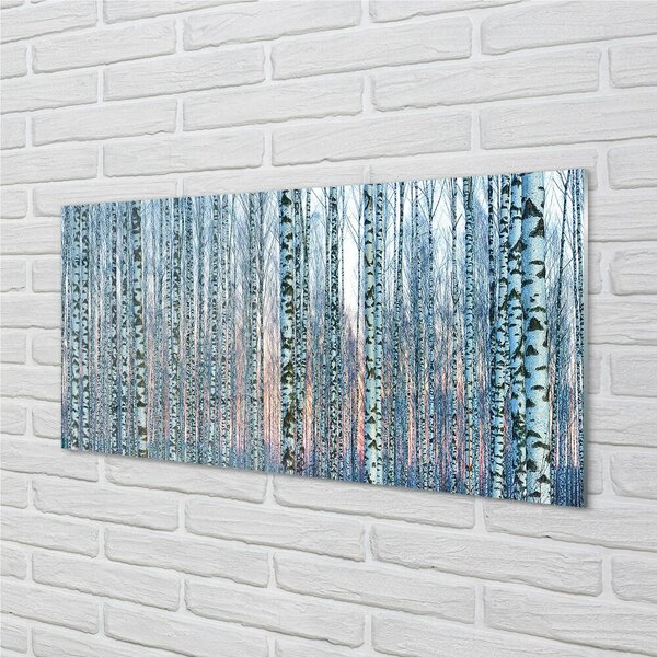 Quadro vetro Betulle foresta tramonto 100x50 cm 2 appendini