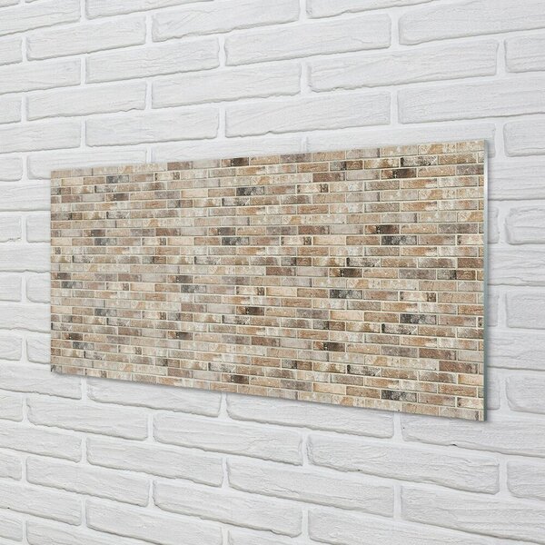 Quadro vetro Muro di mattoni vintage 100x50 cm 2 appendini