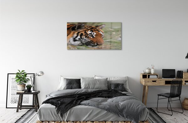 Quadro di vetro Foresta delle tigri 100x50 cm 2 appendini