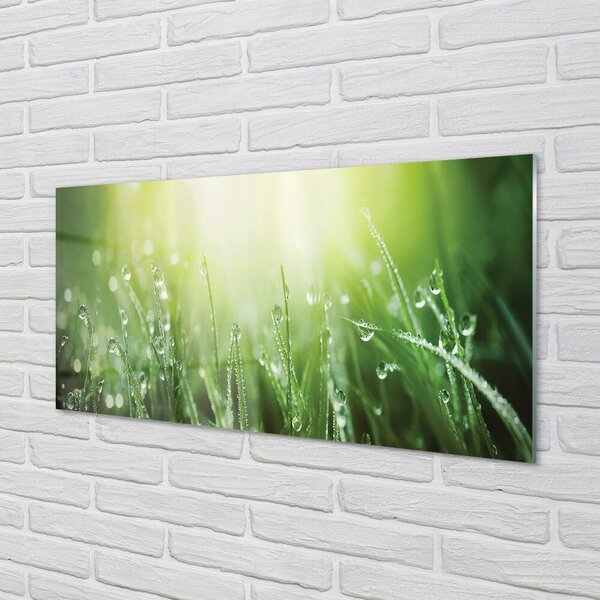 Quadro su vetro Gocce d'erba sole 100x50 cm 2 appendini
