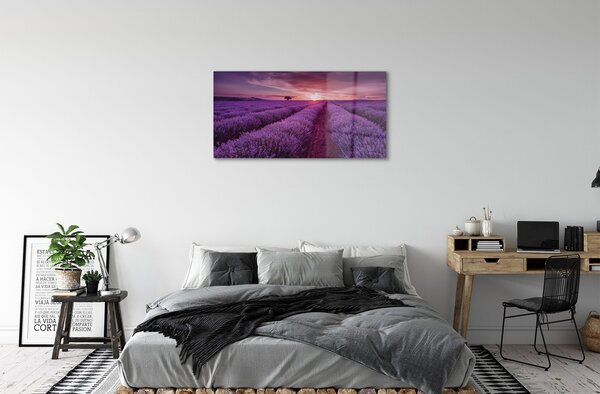 Quadro di vetro Campo di heather 100x50 cm 2 appendini